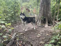 processed/ea4b8b6f-6caa-4b86-a585-c84acdf50d0e/listing/d7db0ca5-eae9-470c-97a5-da37f26514d8/a64defd3-4586-41ac-bb42-acf87a57fae5