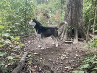 processed/ea4b8b6f-6caa-4b86-a585-c84acdf50d0e/listing/d7db0ca5-eae9-470c-97a5-da37f26514d8/b7530eda-5112-4f97-acd9-a3c82009e084