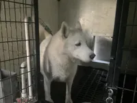 processed/ea4b8b6f-6caa-4b86-a585-c84acdf50d0e/listing/ead2f7e8-7a27-4735-904c-bcadaff3d000/9bcff575-0b34-4118-b833-75a85029cc9e