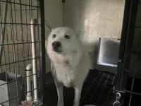 processed/ea4b8b6f-6caa-4b86-a585-c84acdf50d0e/listing/ead2f7e8-7a27-4735-904c-bcadaff3d000/d75d99a7-6751-4613-86de-01177528e767