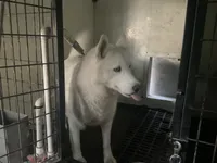 processed/ea4b8b6f-6caa-4b86-a585-c84acdf50d0e/listing/ead2f7e8-7a27-4735-904c-bcadaff3d000/fc24047e-ff31-4a07-8fcc-b02dd084424b