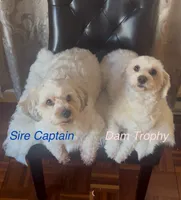 processed/ea4e10f1-1457-432a-8822-539280134f45/listing/1a738a00-8bc9-4cfb-b94a-616a1935e898/0e6d515d-ecdf-47cb-a906-fc88eba7e671