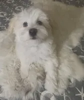 processed/ea4e10f1-1457-432a-8822-539280134f45/listing/1a738a00-8bc9-4cfb-b94a-616a1935e898/1c63110c-1df5-4317-b362-07d40360bcc8