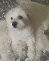 processed/ea4e10f1-1457-432a-8822-539280134f45/listing/1a738a00-8bc9-4cfb-b94a-616a1935e898/2ad3b39a-72b7-41c8-b01d-23268106de7f