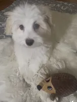 processed/ea4e10f1-1457-432a-8822-539280134f45/listing/1a738a00-8bc9-4cfb-b94a-616a1935e898/9ff2be9e-b746-4abe-87a1-1c112a0a0993