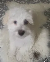 processed/ea4e10f1-1457-432a-8822-539280134f45/listing/1a738a00-8bc9-4cfb-b94a-616a1935e898/ce8960d6-2812-4f56-8489-89c930ceeb5b