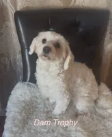 processed/ea4e10f1-1457-432a-8822-539280134f45/listing/1a738a00-8bc9-4cfb-b94a-616a1935e898/e37c67cc-b8d6-40d2-bc0a-e6e31a60f34e