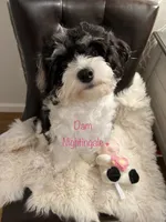 processed/ea4e10f1-1457-432a-8822-539280134f45/listing/793c470f-94fb-4c65-80f2-80477e0dd7cc/0972c92b-438c-4775-9458-5e1bbaafc53e