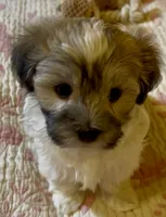 processed/ea4e10f1-1457-432a-8822-539280134f45/listing/793c470f-94fb-4c65-80f2-80477e0dd7cc/24f8fd97-8acc-4628-b092-a7aece198158