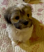 processed/ea4e10f1-1457-432a-8822-539280134f45/listing/793c470f-94fb-4c65-80f2-80477e0dd7cc/2876c29b-0e48-4e34-8c93-2a7c920fe0dc