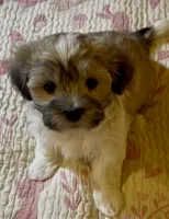 processed/ea4e10f1-1457-432a-8822-539280134f45/listing/793c470f-94fb-4c65-80f2-80477e0dd7cc/993106db-35c7-40e1-be4e-c332d0de9ce4