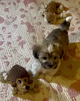 processed/ea4e10f1-1457-432a-8822-539280134f45/listing/793c470f-94fb-4c65-80f2-80477e0dd7cc/efb665a3-c3dc-4734-9013-3365e21081d3