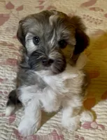 processed/ea4e10f1-1457-432a-8822-539280134f45/listing/b1b3dc66-a94d-4605-bfd4-9eb7edcd8968/1622b62f-03f2-4f20-99b1-51505aad86fa