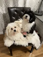 processed/ea4e10f1-1457-432a-8822-539280134f45/listing/b1b3dc66-a94d-4605-bfd4-9eb7edcd8968/29f6de9c-31d1-4f54-9328-71c74d6f1538