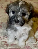 processed/ea4e10f1-1457-432a-8822-539280134f45/listing/b1b3dc66-a94d-4605-bfd4-9eb7edcd8968/56b54f7d-ccc9-4b81-92c3-daf7ce8549a6