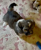 processed/ea4e10f1-1457-432a-8822-539280134f45/listing/b1b3dc66-a94d-4605-bfd4-9eb7edcd8968/fd05562a-608c-4a98-858a-4d26e1360390