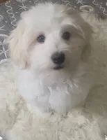 processed/ea4e10f1-1457-432a-8822-539280134f45/listing/c6c02f1e-51b3-447a-94cf-841b0a01a76b/297ed366-8fe4-4560-a3bc-a1cb3e65d750