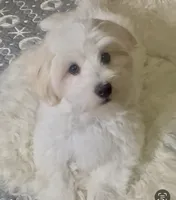 processed/ea4e10f1-1457-432a-8822-539280134f45/listing/c6c02f1e-51b3-447a-94cf-841b0a01a76b/468401b0-4d6e-4f40-b613-532fbe16247b