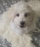 processed/ea4e10f1-1457-432a-8822-539280134f45/listing/c6c02f1e-51b3-447a-94cf-841b0a01a76b/7c3c3b00-8338-4b17-bda2-cf972687a518