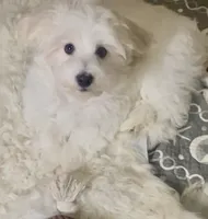 processed/ea4e10f1-1457-432a-8822-539280134f45/listing/c6c02f1e-51b3-447a-94cf-841b0a01a76b/878a5b8e-1098-46a7-837d-391831e8397b