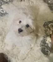 processed/ea4e10f1-1457-432a-8822-539280134f45/listing/c6c02f1e-51b3-447a-94cf-841b0a01a76b/bc71d90e-b39b-4a23-aefb-dec5ed801dfe