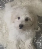 processed/ea4e10f1-1457-432a-8822-539280134f45/listing/c6c02f1e-51b3-447a-94cf-841b0a01a76b/f242b375-535a-4b3a-8967-79fa68278820