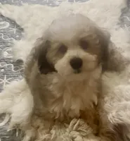 processed/ea4e10f1-1457-432a-8822-539280134f45/listing/c70bd1ff-0a30-43d9-9023-ca038009027e/472fdfe9-abc7-47ff-b1aa-9edae1106d69