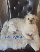 processed/ea4e10f1-1457-432a-8822-539280134f45/listing/c70bd1ff-0a30-43d9-9023-ca038009027e/f3783a45-1fb6-4b17-a6ce-ce680dfbb53f