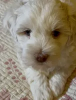 processed/ea4e10f1-1457-432a-8822-539280134f45/listing/e819b51e-57a4-4d67-9ee2-b74a3dc5ce8d/08194df8-8f00-49a9-97a9-ea46dc45c25e