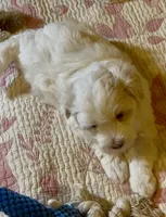 processed/ea4e10f1-1457-432a-8822-539280134f45/listing/e819b51e-57a4-4d67-9ee2-b74a3dc5ce8d/597992d2-9ab1-4c05-9e04-64c98bd2ec9d