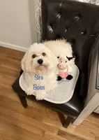 processed/ea4e10f1-1457-432a-8822-539280134f45/listing/e819b51e-57a4-4d67-9ee2-b74a3dc5ce8d/a1528dcd-ac10-4504-97f6-59346bb4ca10