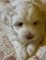 processed/ea4e10f1-1457-432a-8822-539280134f45/listing/e819b51e-57a4-4d67-9ee2-b74a3dc5ce8d/d7d3cc21-a9ab-4a2b-8e4e-ce0ec761562f