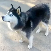 processed/ea6620d8-7d29-4051-9bb7-a53e83122fbe/facility/475fac45-2134-41d2-b74e-e357ea5fbd7b