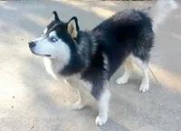 processed/ea6620d8-7d29-4051-9bb7-a53e83122fbe/facility/475fac45-2134-41d2-b74e-e357ea5fbd7b