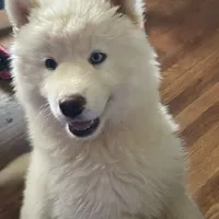 processed/ea6620d8-7d29-4051-9bb7-a53e83122fbe/facility/4b823920-1f29-44b1-93b2-7b2a08ad5804