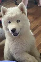 processed/ea6620d8-7d29-4051-9bb7-a53e83122fbe/facility/4b823920-1f29-44b1-93b2-7b2a08ad5804