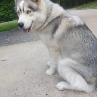 processed/ea6620d8-7d29-4051-9bb7-a53e83122fbe/facility/4fc99db9-bdf3-477e-8689-73273899b971