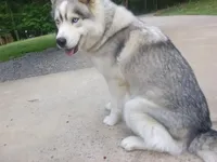 processed/ea6620d8-7d29-4051-9bb7-a53e83122fbe/facility/4fc99db9-bdf3-477e-8689-73273899b971