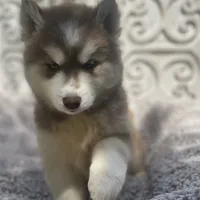 processed/ea6620d8-7d29-4051-9bb7-a53e83122fbe/facility/5a9068a0-95d7-490d-ac73-5177dff5f67c