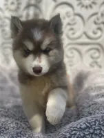 processed/ea6620d8-7d29-4051-9bb7-a53e83122fbe/facility/5a9068a0-95d7-490d-ac73-5177dff5f67c