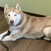 processed/ea6620d8-7d29-4051-9bb7-a53e83122fbe/facility/8afdde6d-5ab3-46eb-9817-2be7df90def1