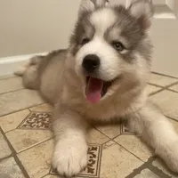 processed/ea6620d8-7d29-4051-9bb7-a53e83122fbe/facility/940889fd-1286-4243-a36f-5735b4a63ae9