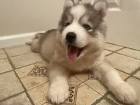 processed/ea6620d8-7d29-4051-9bb7-a53e83122fbe/facility/940889fd-1286-4243-a36f-5735b4a63ae9