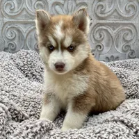 processed/ea6620d8-7d29-4051-9bb7-a53e83122fbe/facility/96d90119-74ce-479e-8896-effe8f5c0483