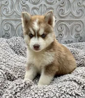 processed/ea6620d8-7d29-4051-9bb7-a53e83122fbe/facility/96d90119-74ce-479e-8896-effe8f5c0483