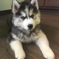 processed/ea6620d8-7d29-4051-9bb7-a53e83122fbe/facility/aad74439-3bb0-4131-8822-696484348cdf