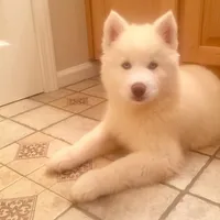 processed/ea6620d8-7d29-4051-9bb7-a53e83122fbe/facility/bd152b7a-f45d-45d4-9886-c9f7455c1ca5