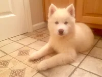 processed/ea6620d8-7d29-4051-9bb7-a53e83122fbe/facility/bd152b7a-f45d-45d4-9886-c9f7455c1ca5