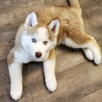 processed/ea6620d8-7d29-4051-9bb7-a53e83122fbe/facility/ee596893-845b-43db-b6e3-8bbcb5bede73