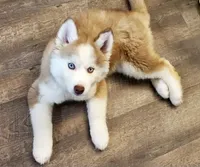 processed/ea6620d8-7d29-4051-9bb7-a53e83122fbe/facility/ee596893-845b-43db-b6e3-8bbcb5bede73